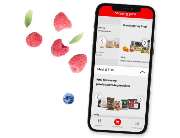 Example of a case study